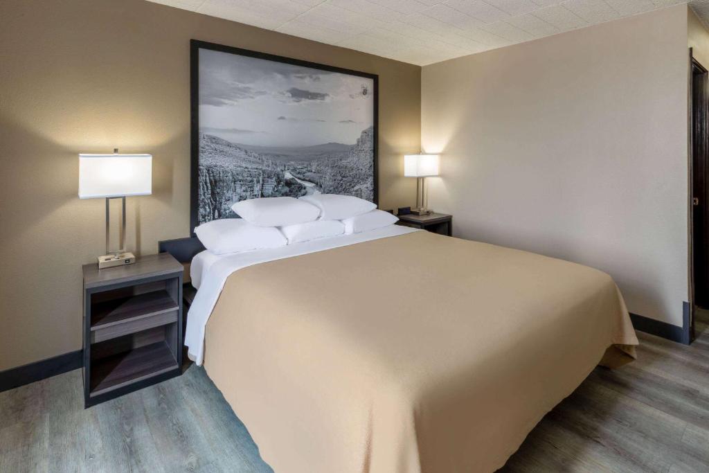 Super 8 by Wyndham Laredo