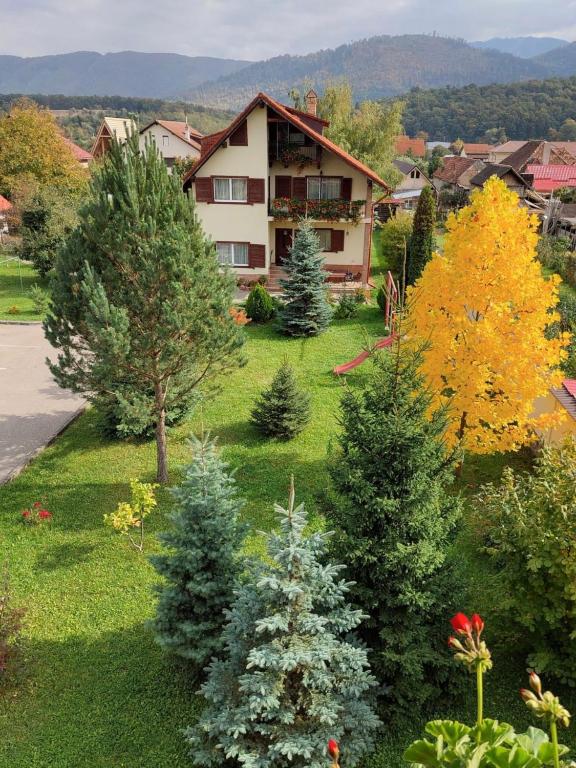 a group of trees in front of a house at Vila Old Cars in Cristian
