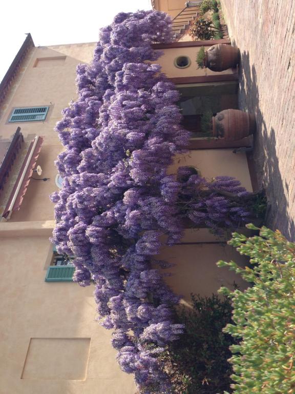 Ogród w obiekcie Hotel Palazzo di Valli