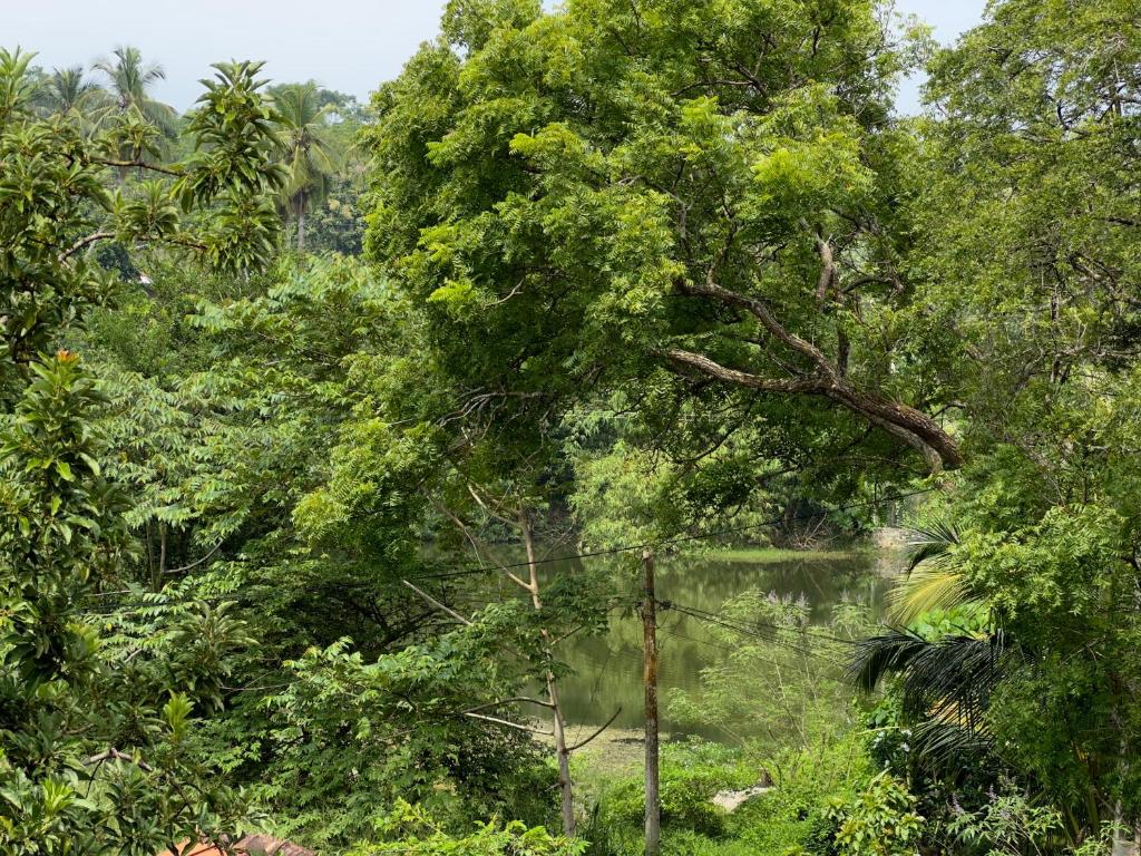 Tanzanite place - 18