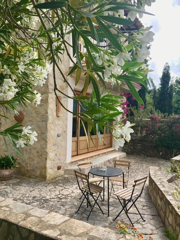Zahrada ubytování Cas Puput Mallorca