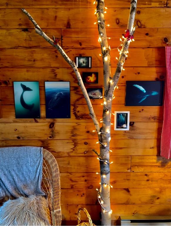 TV a/nebo společenská místnost v ubytování Vipilodge