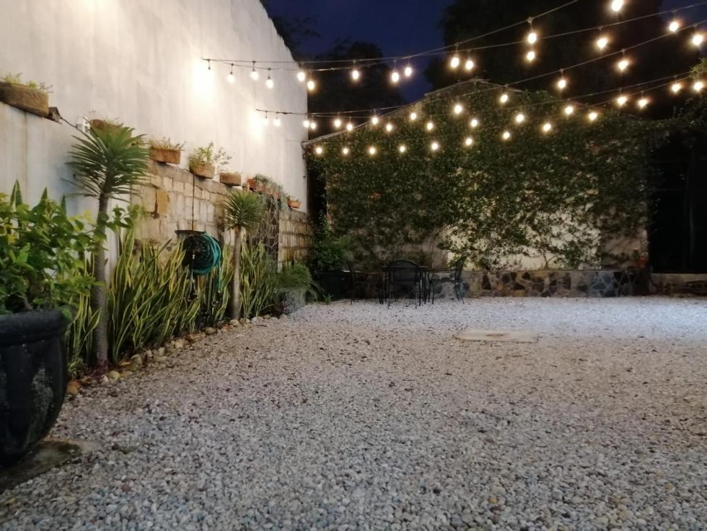un patio con una serie de luces y plantas en Estancia Buen Dia, en Ciudad Valles