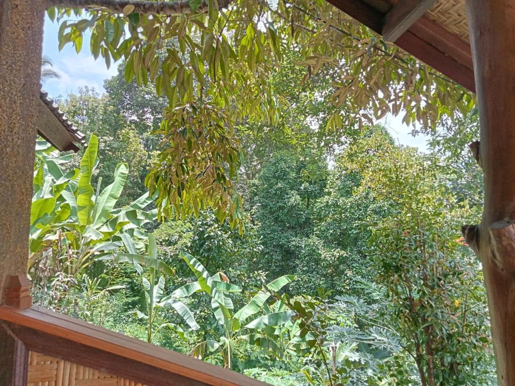 Buda's Homestay Lemukih - 8