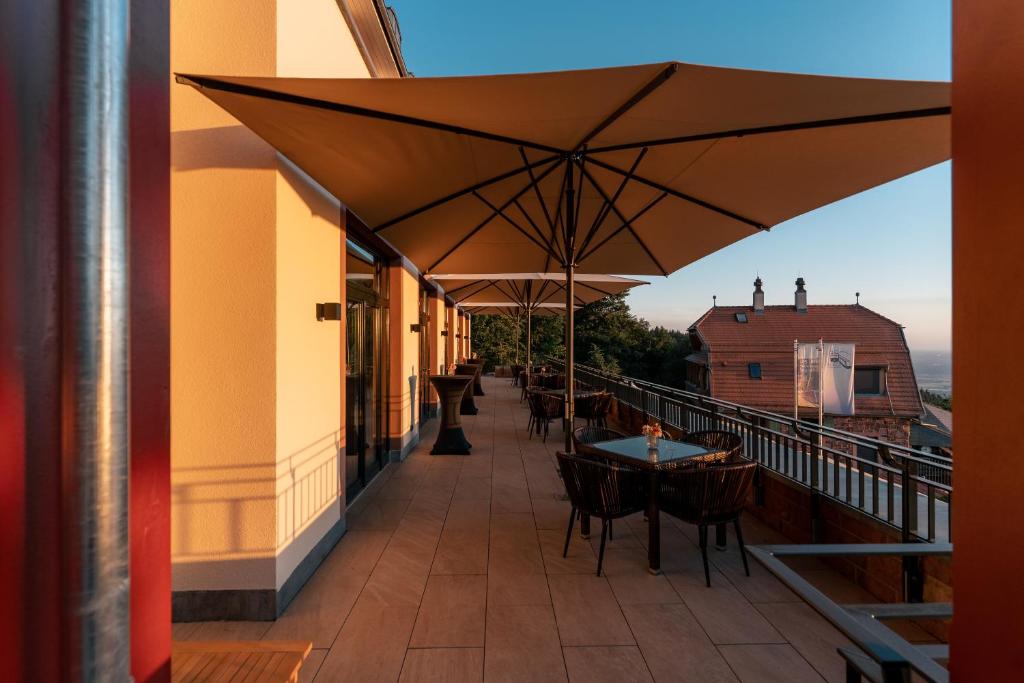 Berggasthof Königstuhl - Resim 16