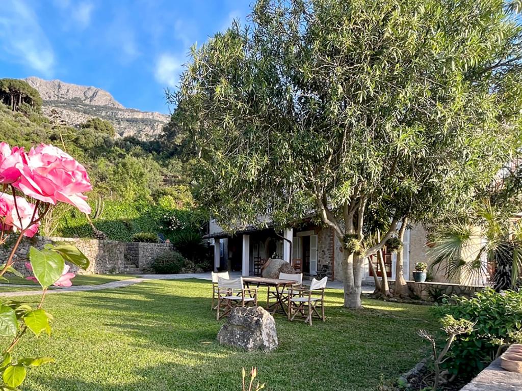 Zahrada ubytování Cas Puput Mallorca