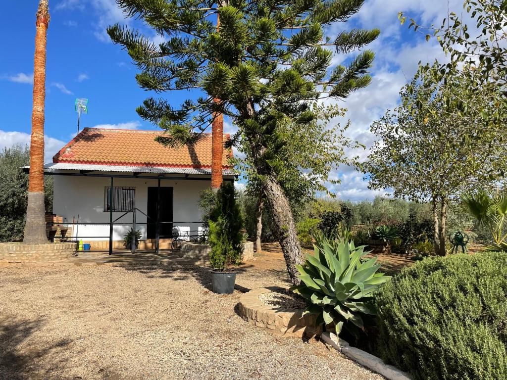 El Paraíso del Olivar - Casa De Dos Dormitorios
