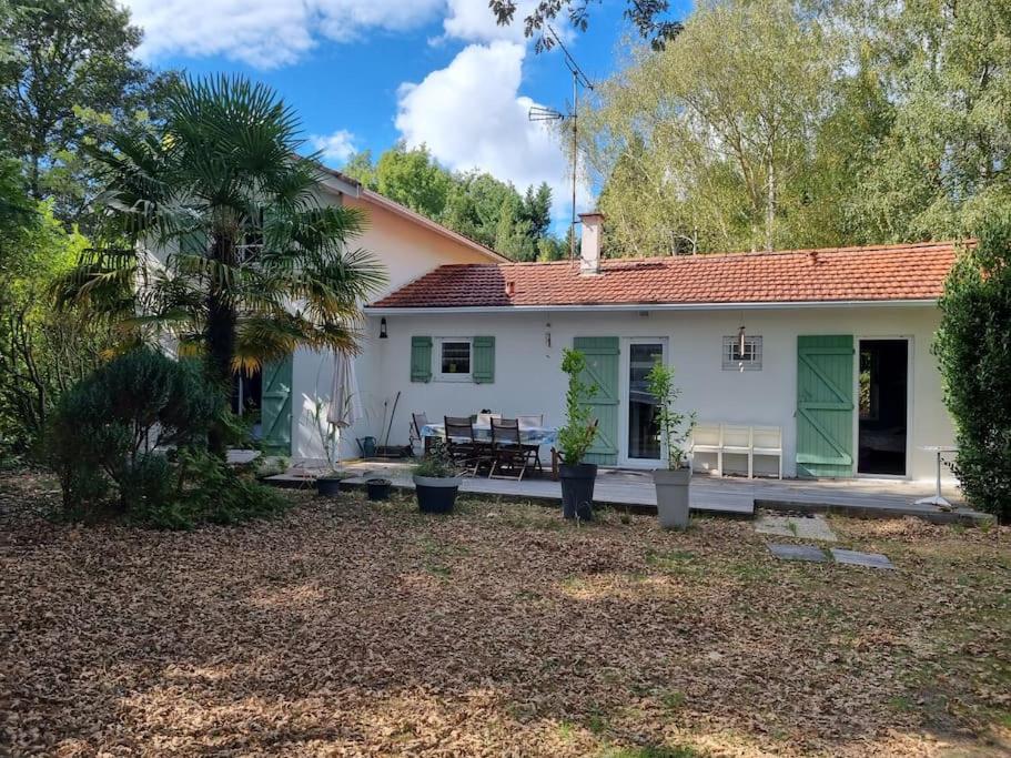 a white house with a palm tree in the yard at La Cabane aux Acacias~vacances nature et au calme in Mézos