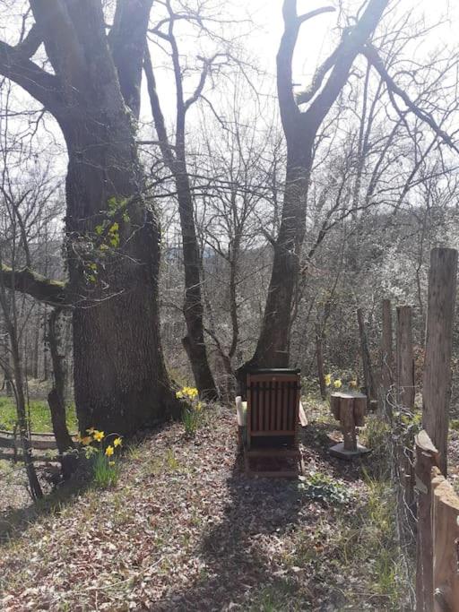Vonkajšia záhrada v ubytovaní Cosy cabane