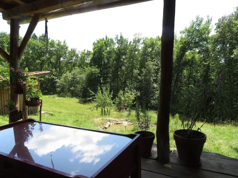 Vonkajšia záhrada v ubytovaní Cosy cabane