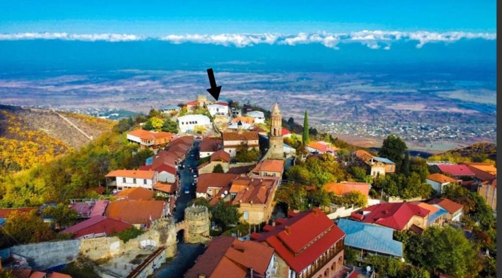 Příroda nedaleko penzionu