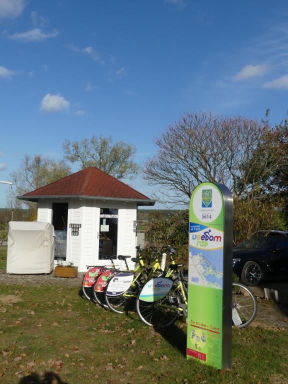 Zahrada ubytování Landhaus am Haff