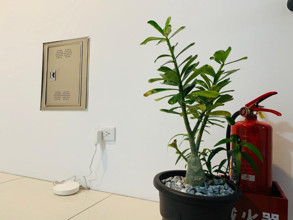 Fotografie z fotogalerie ubytování Daiwen Homestay v destinaci Ťiao-si