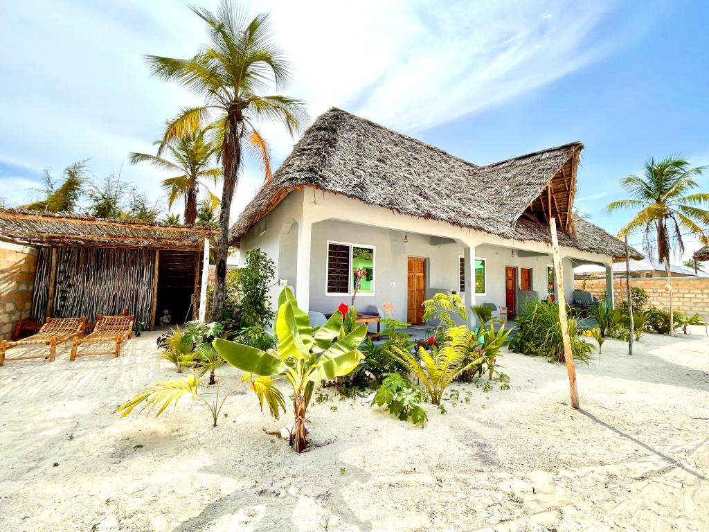 a house on the beach with palm trees at Butterfly Apartment Zanzibar in Bwejuu