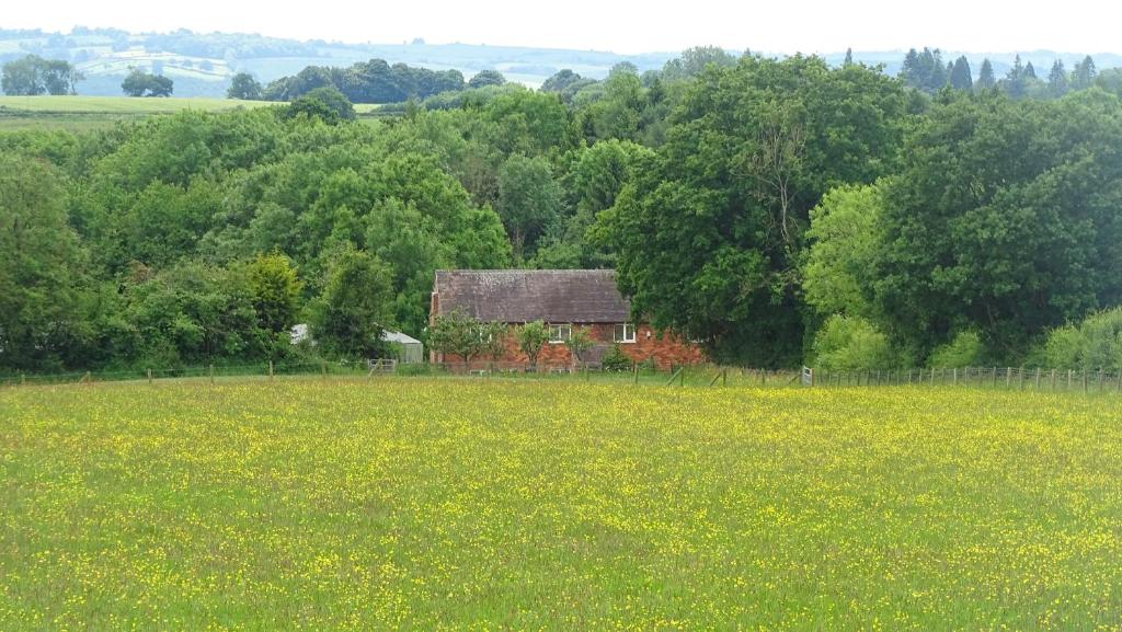an old house in the middle of a field of flowers at Meadowfields in Kidderminster