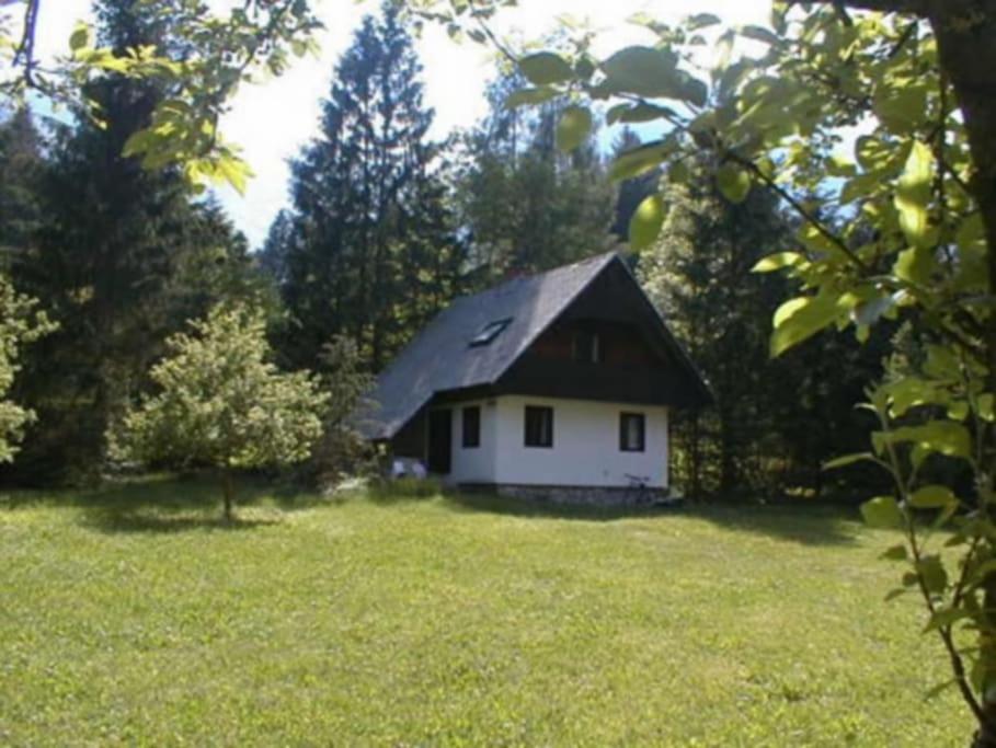Zahrada ubytování Apartment Lake Bohinj no. 5