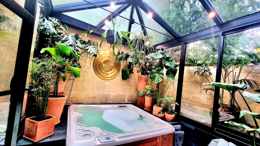 La Belle Endormie B&B French Guest house في بوردو: بيت زجاجي به حوض استحمام ساخن ومجموعة من النباتات