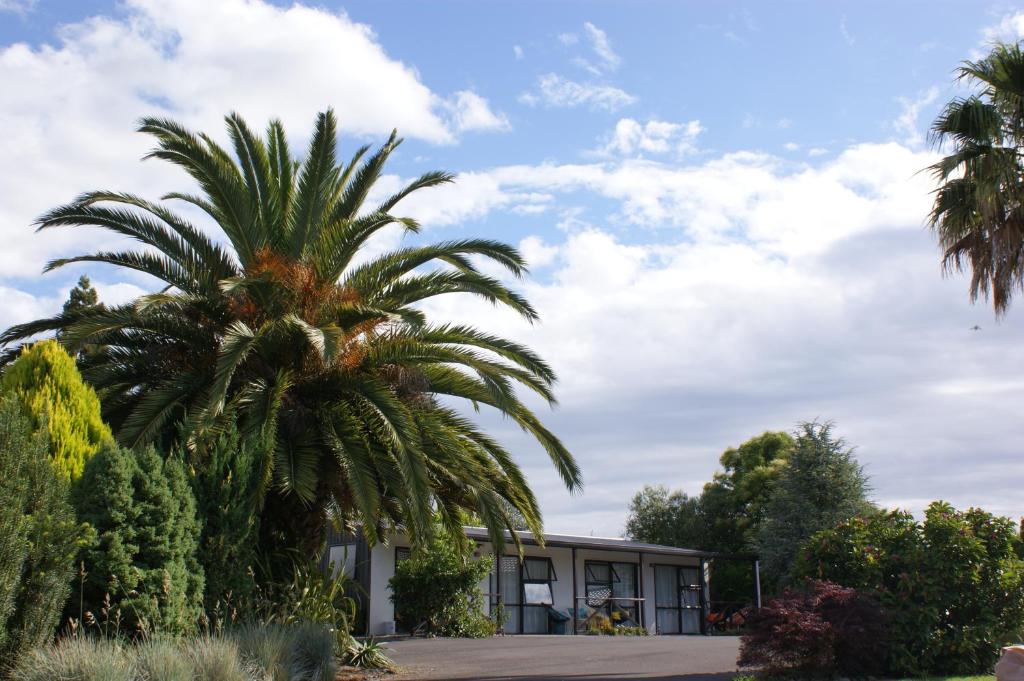 a palm tree in front of a house at 73 Milton Accommodation in Cambridge