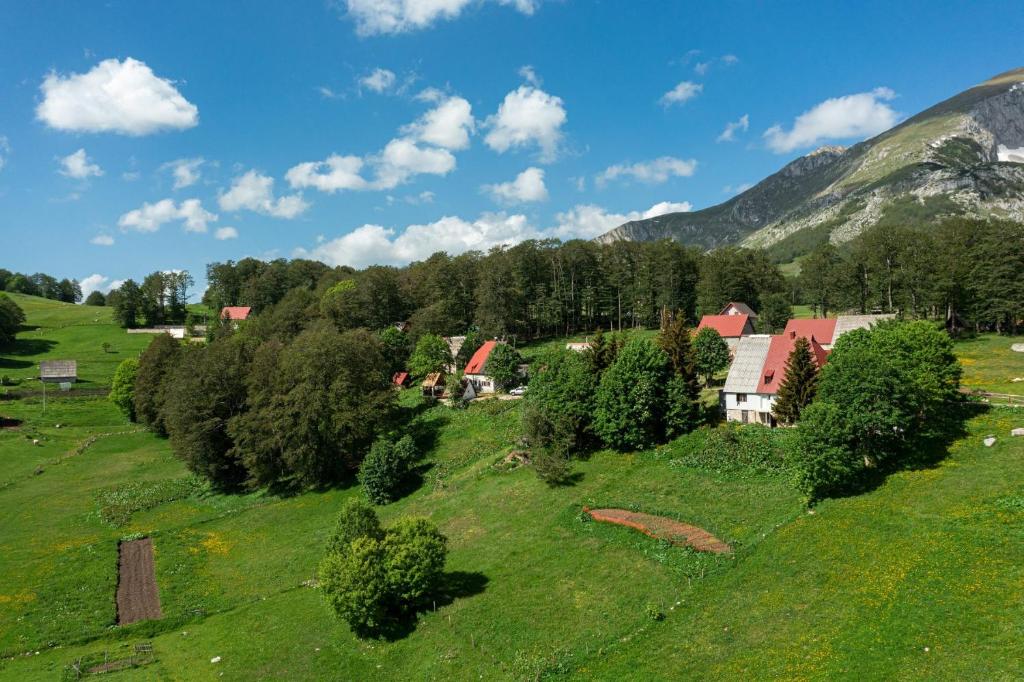 Příroda nedaleko apartmánu