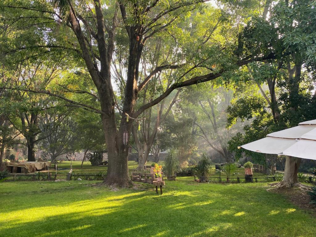 un parque con un árbol y una sombrilla en el césped en Magnolias Jardin & Boutique Suites en León