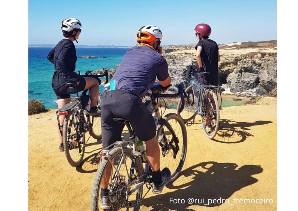 4Bs - Birds & Bicycles - 17