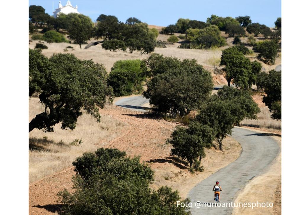 4Bs - Birds & Bicycles - 18