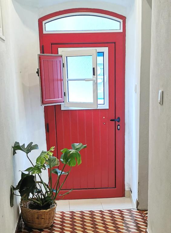 4Bs - Birds & Bicycles - 3