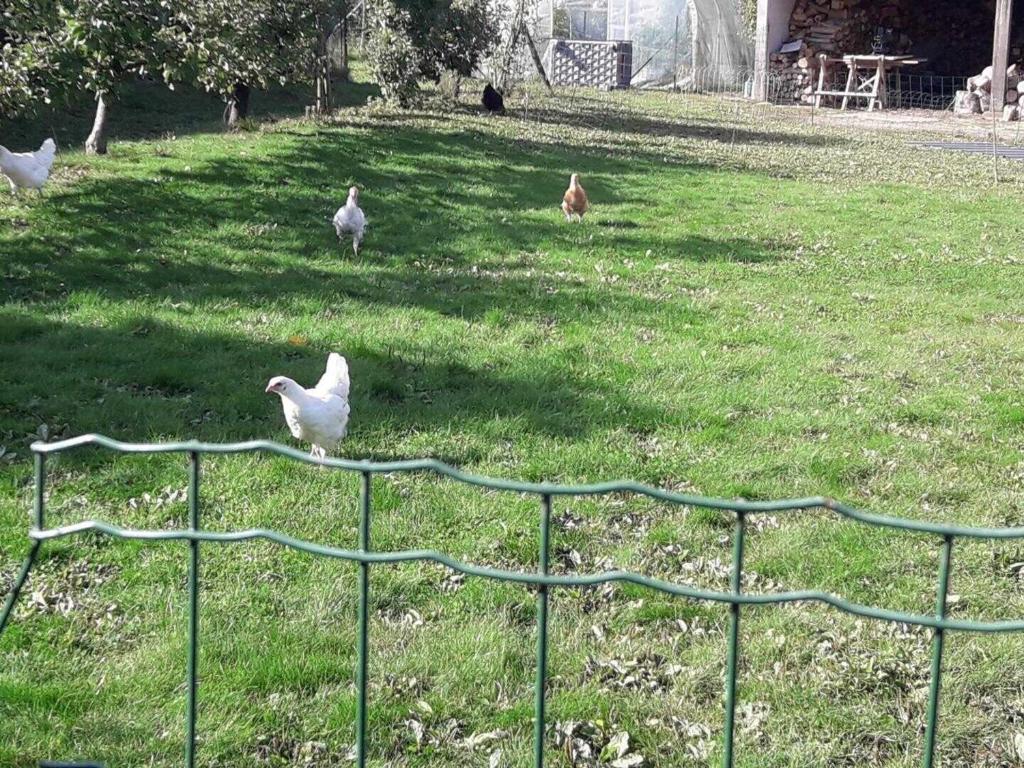 Fotografia z galérie ubytovania Gîte familial avec terrasse, jardin clos, barbecue, cheminée et équipements pour enfants - FR-1-376-110 v destinácii Baincthun