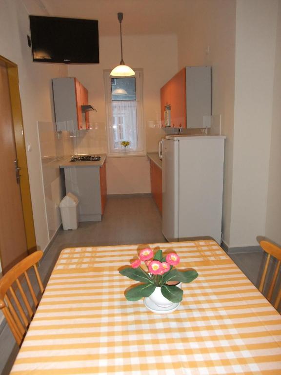 Fotografie z fotogalerie ubytování Apartment U Pošty v Lipové-lázních