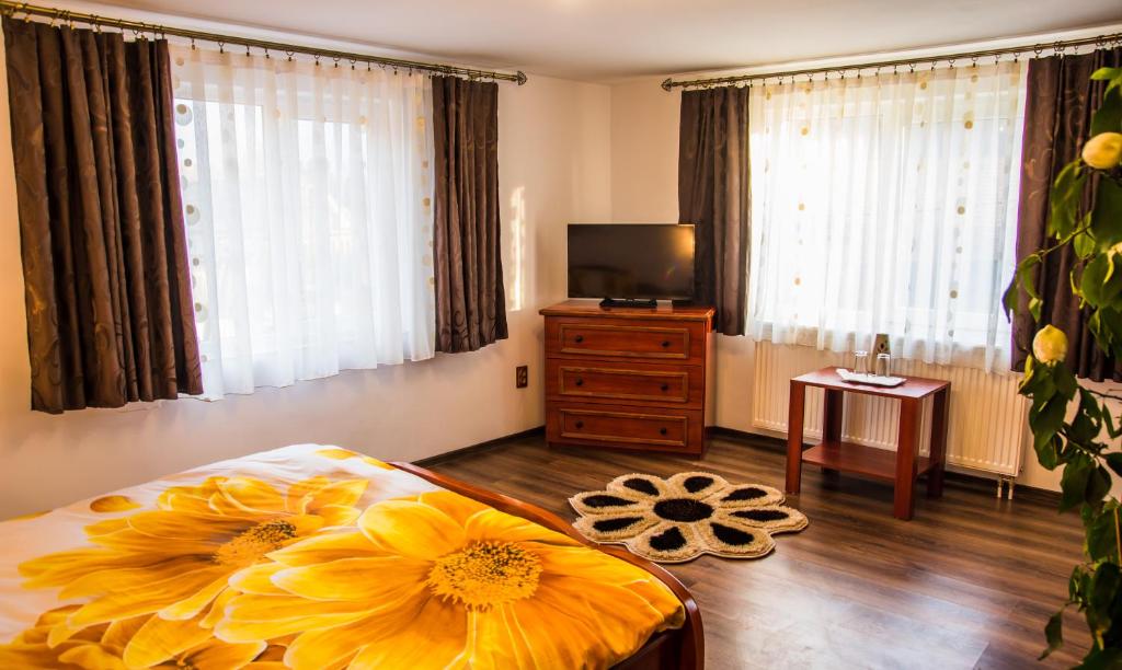 Pensiunea SilvAnka - Apartamento - Planta Baja