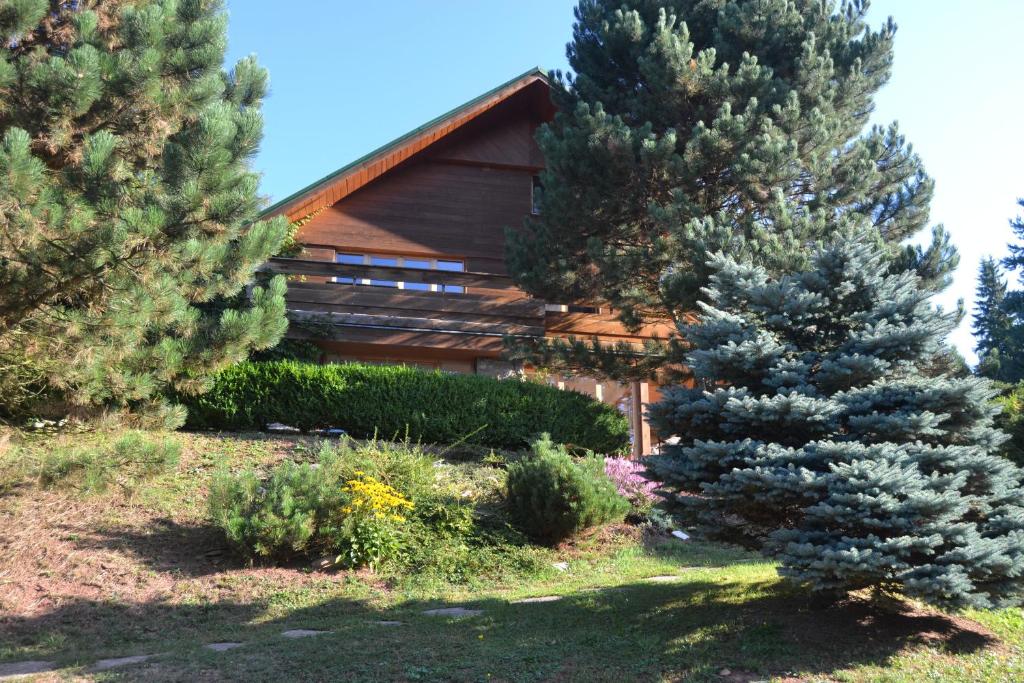 a house between two pine trees in a yard at Chata Dolce in Trutnov