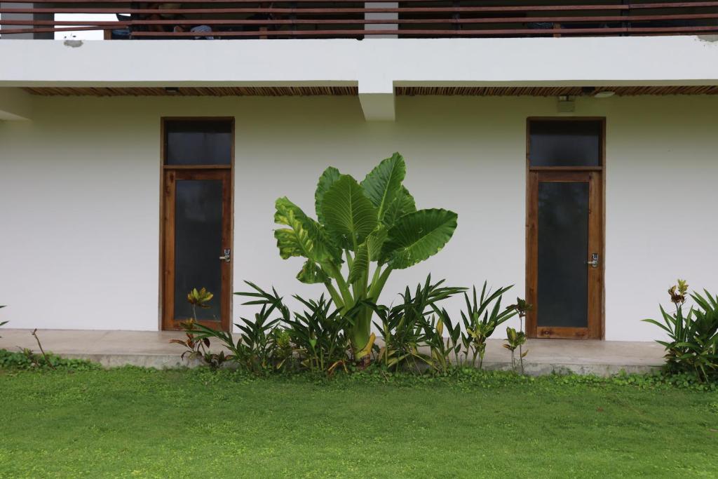 Zahrada ubytování LaFinca Hostel Siargao