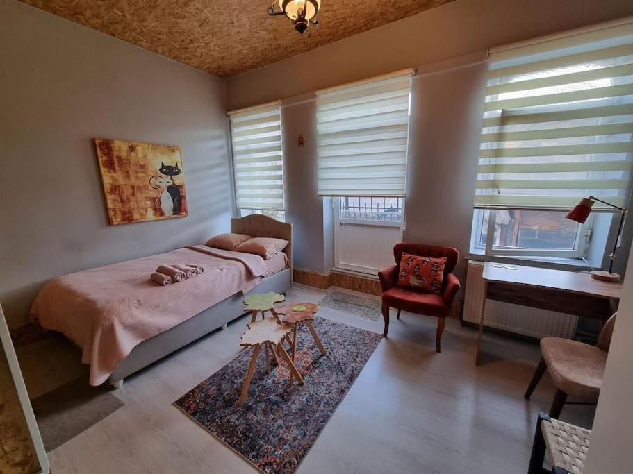 Apartment taksim studio flat, Istanbul, Turkey