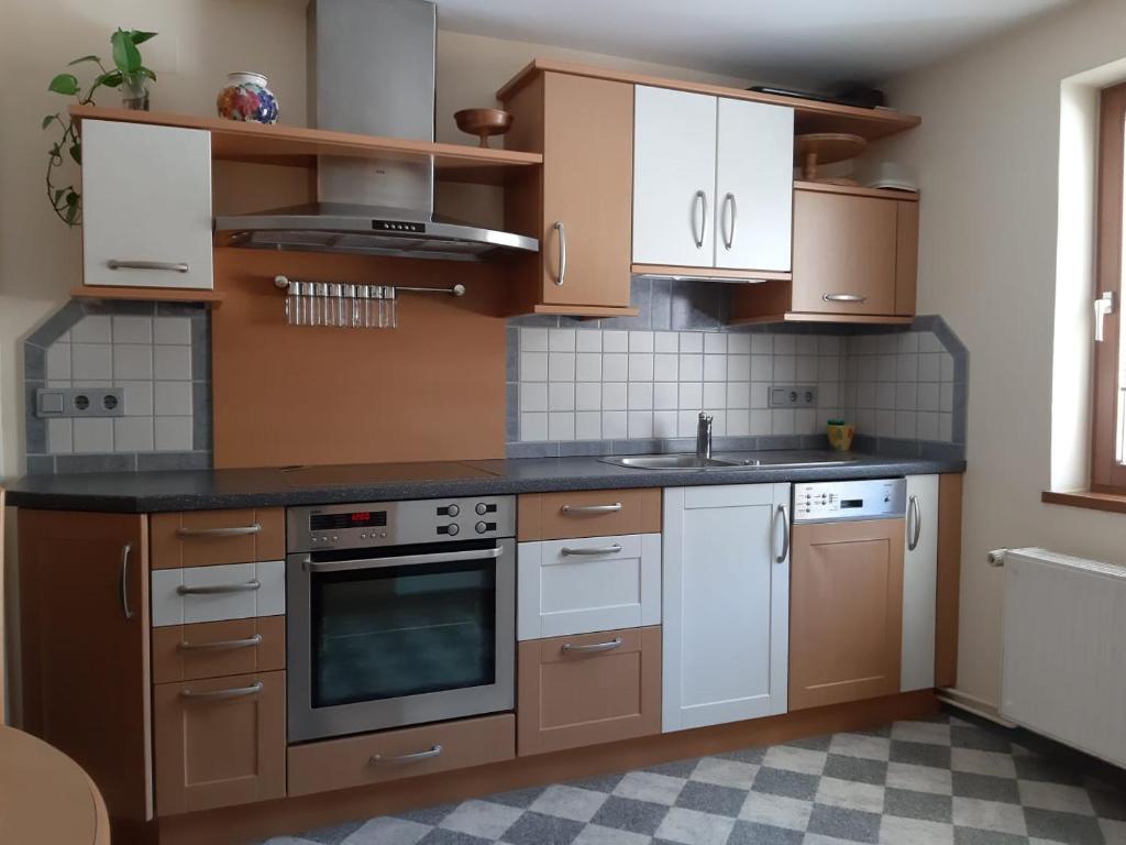 Kuchyň nebo kuchyňský kout v ubytování Mountainview Apartment Scheurer