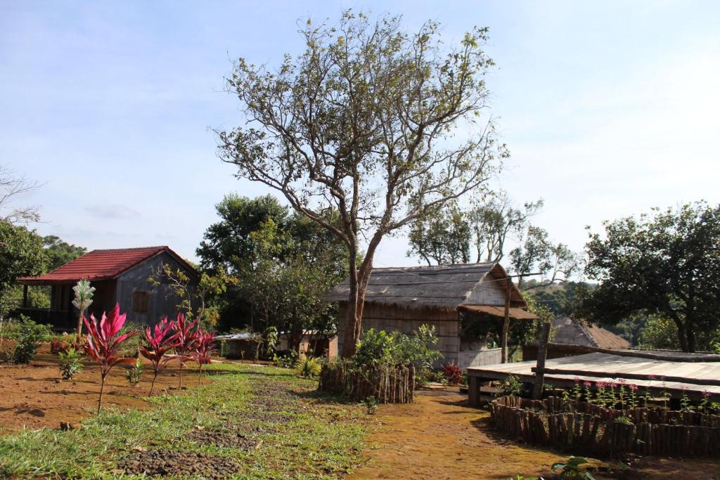 una casa con un árbol en medio de un patio en La Villa Hortensia-Mondulkiri en Phumĭ Pu Pal