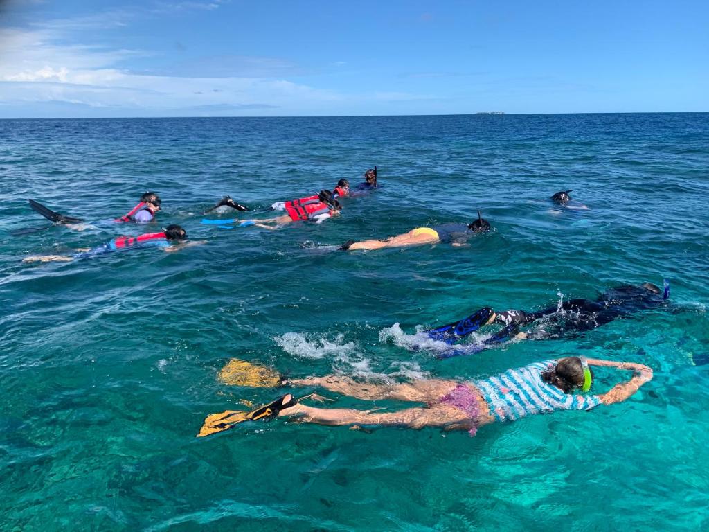 Hosté ubytování Fulidhoo Ihaa Lodge