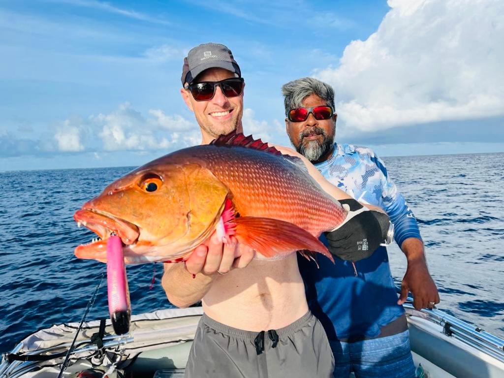 Hosté ubytování Fulidhoo Ihaa Lodge