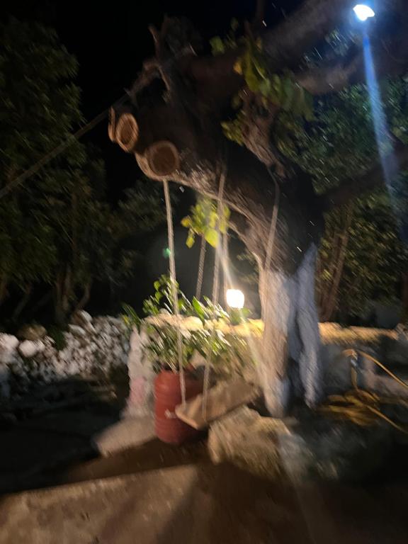 Zahrada ubytování Vryses Crete-Village Vibes