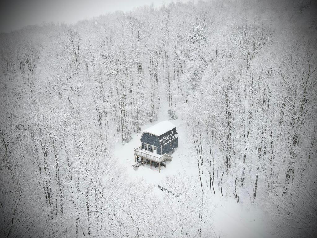 uma vista aérea de uma casa numa floresta coberta de neve em Mandy's Mountain Chalet em Dover