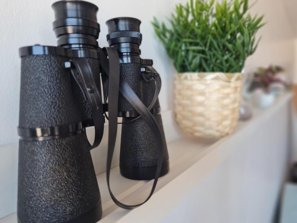 two black binoculars on a shelf with a plant at Cote et Mer Superbe appartement Front de Mer WIFI & PARKING in Villers-sur-Mer