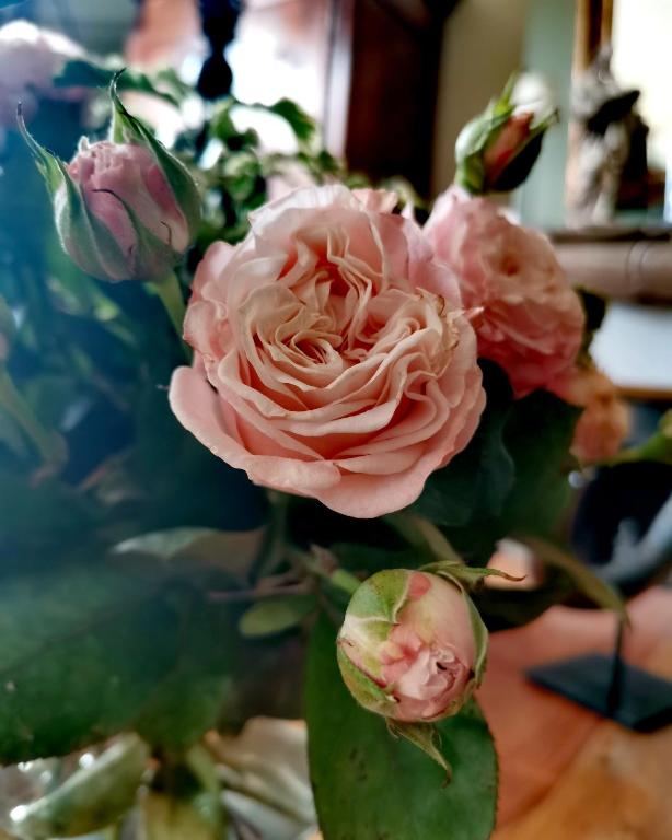 un bouquet de roses dans un vase dans l'établissement La Maison de Ville, à Compiègne
