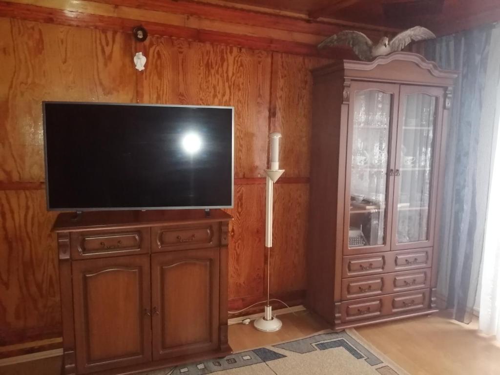 TV en un armario de madera en una habitación en Apartament nad szumiącym potokiem en Wilkowice