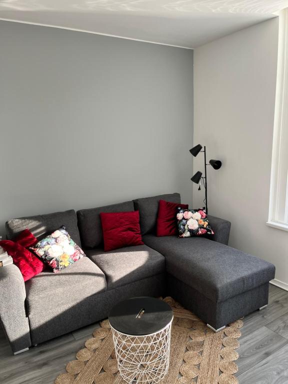 uma sala de estar com um sofá cinzento e almofadas vermelhas em ‘T Singeltje em Leiden