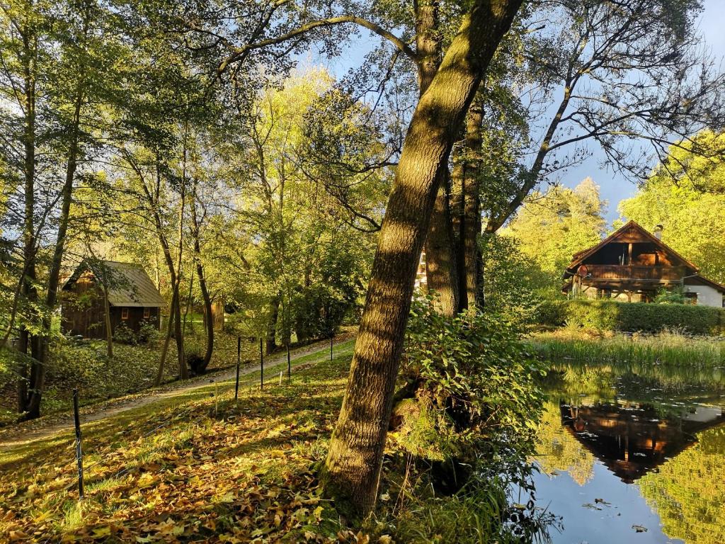 Zahrada ubytování Apartmány Červený Dvůr