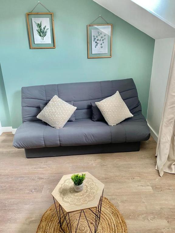 Studios charmants cosy à 5 minutes du centre-ville - 标准工作室