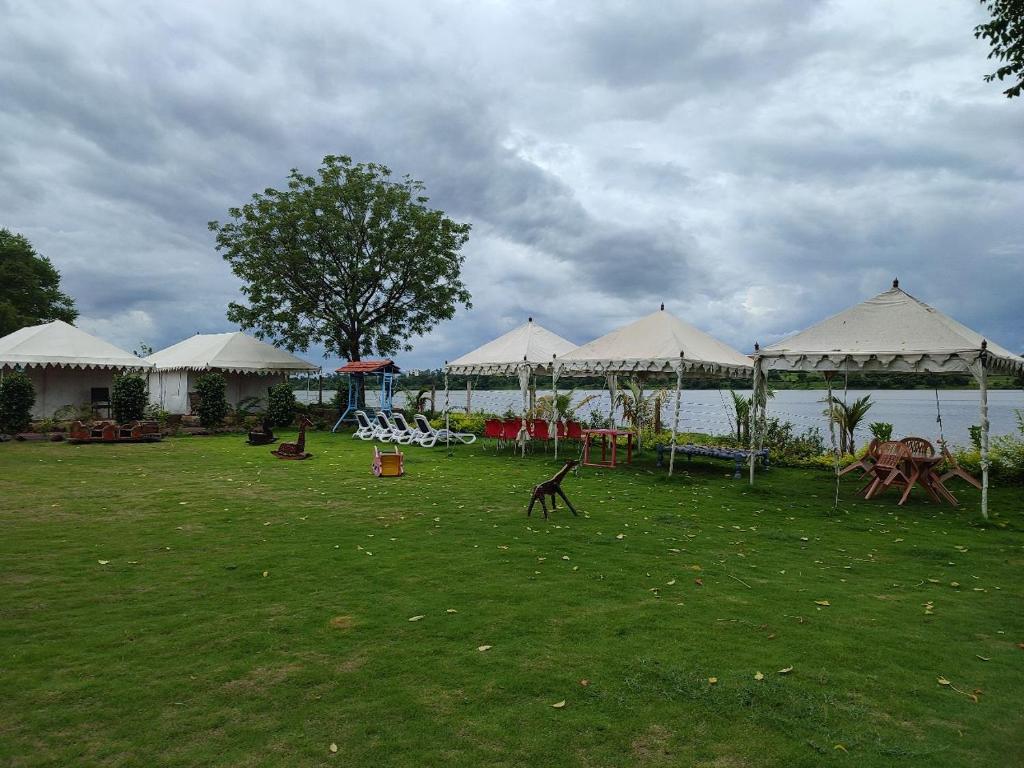 a group of tents in a field with the water at River View Tent Resort in Garudeshwar