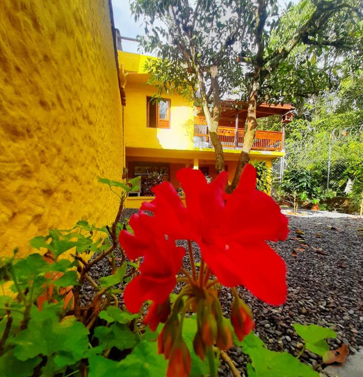 Zahrada ubytování CAFE RACER HOSTEL