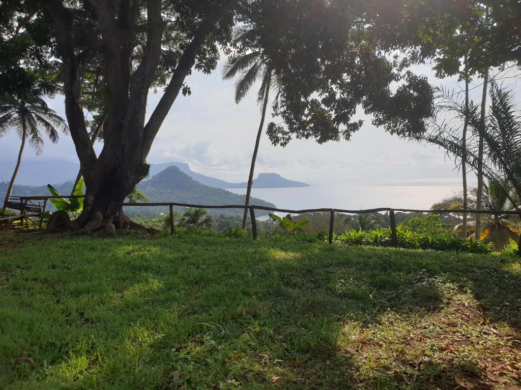 uma árvore na relva com vista para o oceano em World's View Wild Camping Salaszoi, Principe Island em Santo António