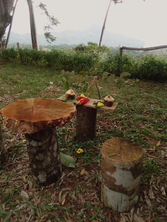 a table and a stump with a table and a stool at World's View Wild Camping Salaszoi, Principe Island in Santo António