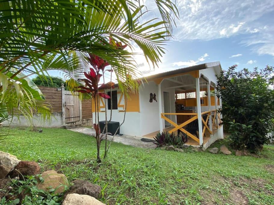 a small house with a palm tree in the yard at Charmant bungalow avec piscine Kaz' Basse in Bouillante